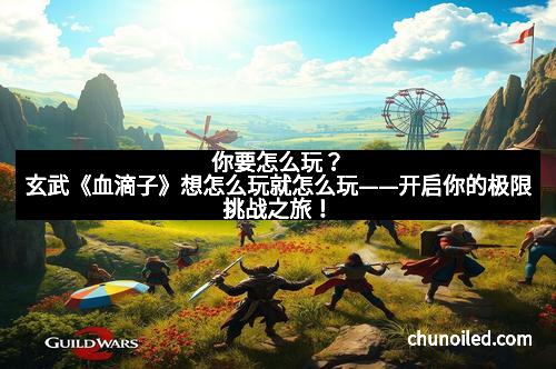 你要怎么玩？玄武《血滴子》想怎么玩就怎么玩——开启你的极限挑战之旅！